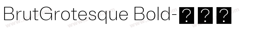BrutGrotesque Bold字体转换 BrutGrotesque Bold字体转换
